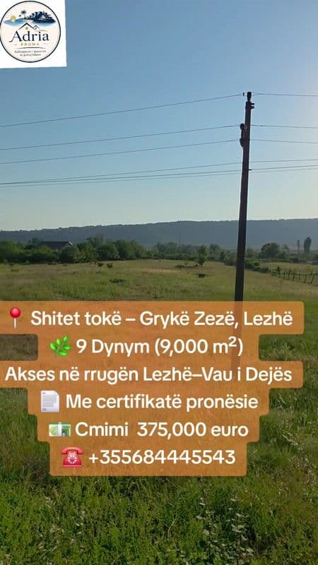 📍 SHITET TOKË – GRYKË ZEZË, LEZHË