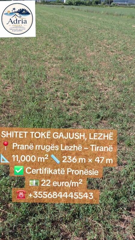 SHITET TOKË NË GAJUSH, LEZHË 🌿