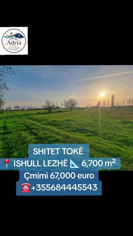 SHITET TOKË – ISHULL LEZHË